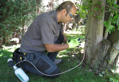 CURSO DE ENDOTERAPIA VEGETAL